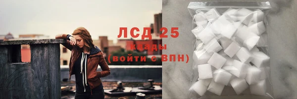 сатива Новозыбков