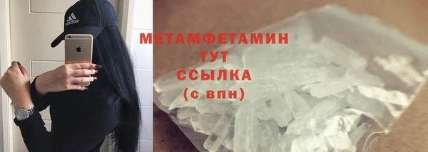 сатива Новозыбков