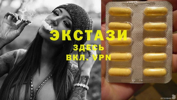 сатива Новозыбков