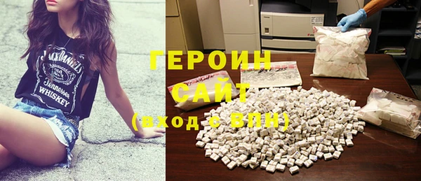 сатива Новозыбков