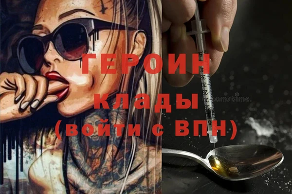 сатива Новозыбков