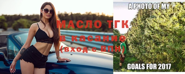 сатива Новозыбков