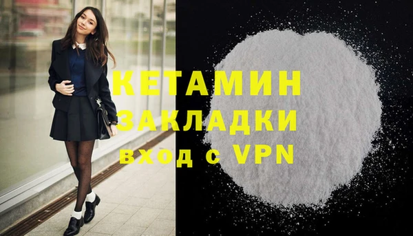 сатива Новозыбков