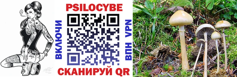 Псилоцибиновые грибы мухоморы  Сельцо 